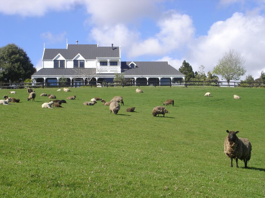 Country Homestead At Black Sheep Farm Waipu Exteriér fotografie